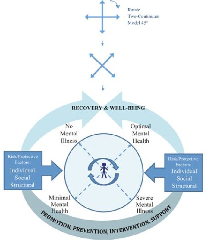 Insights Into Mental Health And Recovery